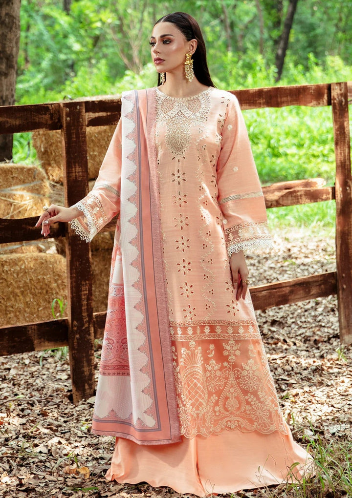 RL06 - Sophie | Winter | Hazel By Mahnur - Rabbani Cloth House