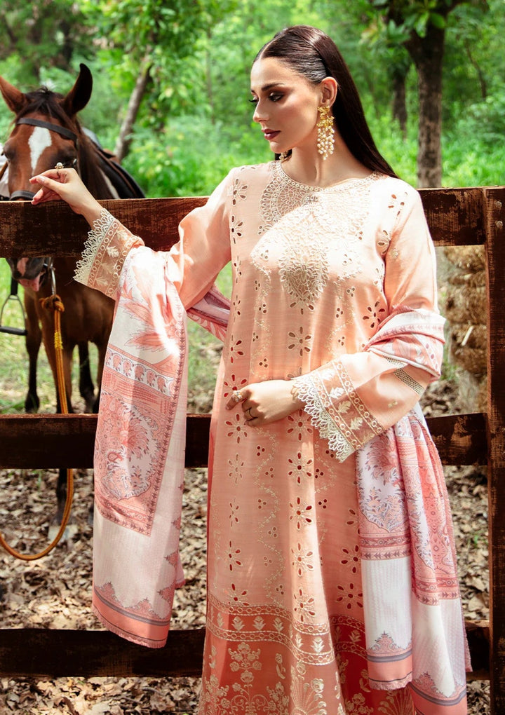 RL06 - Sophie | Winter | Hazel By Mahnur - Rabbani Cloth House