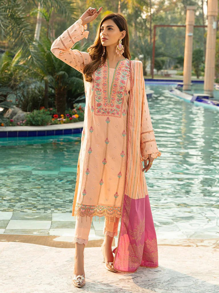 Voil Jacquard – 8A Vol 22 by Raj Bari - Rabbani Cloth House